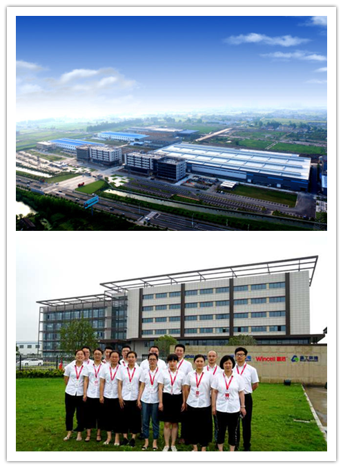 草坪 拼图.png